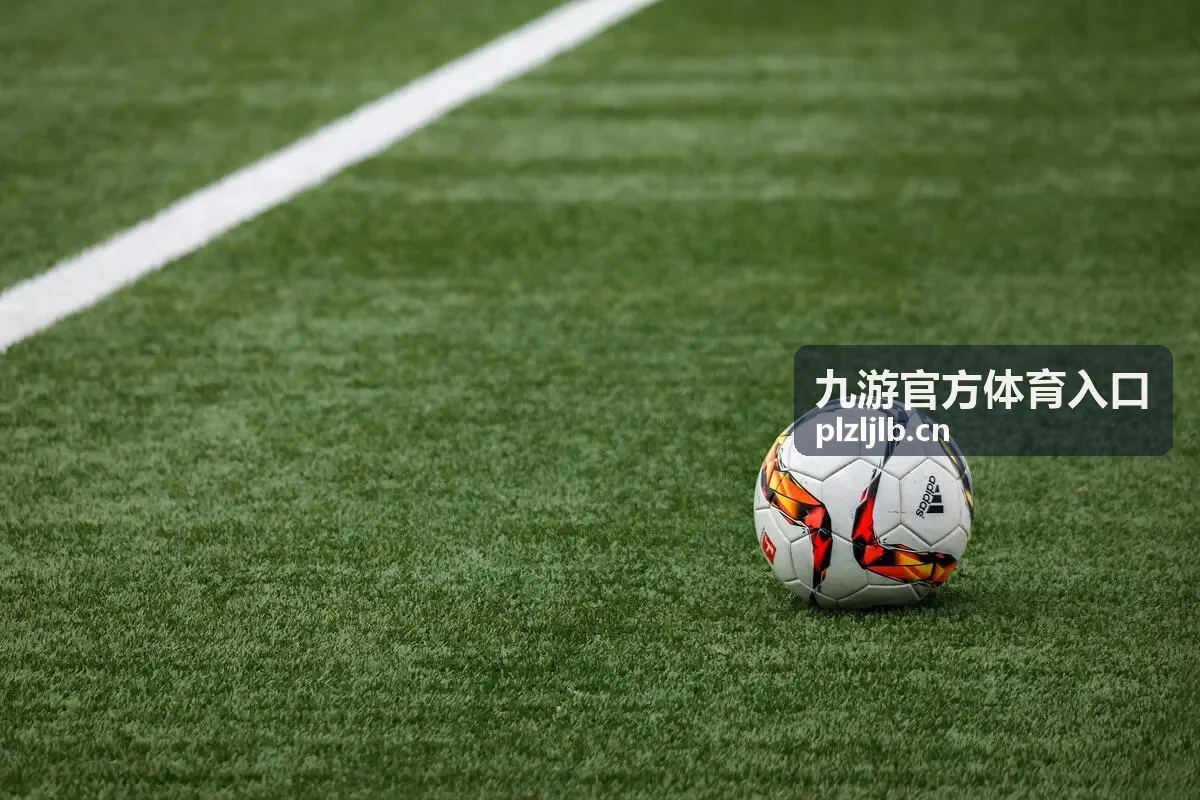 九游官方体育入口活动规则与参与流程说明配图